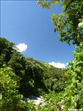 Viví River - UTUADO